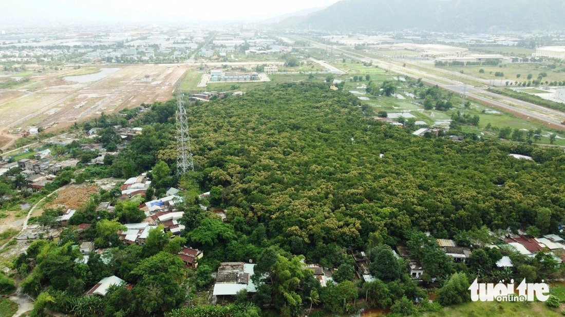 Trung Son forest is surrounded by urban projects and asphalt roads in Da Nang City, central Vietnam. Photo: Doan Cuong / Tuoi Tre