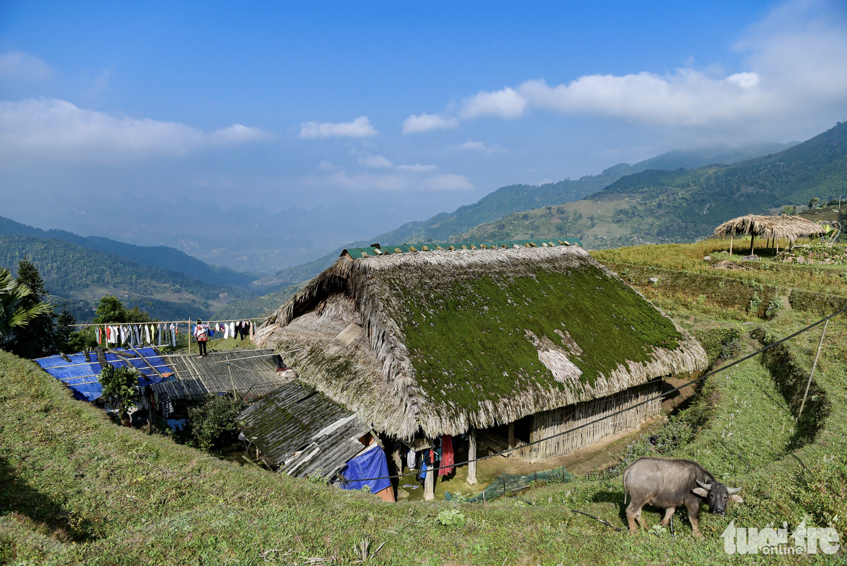 Explore uniqueness of moss-roofed stilt houses in northern Vietnam