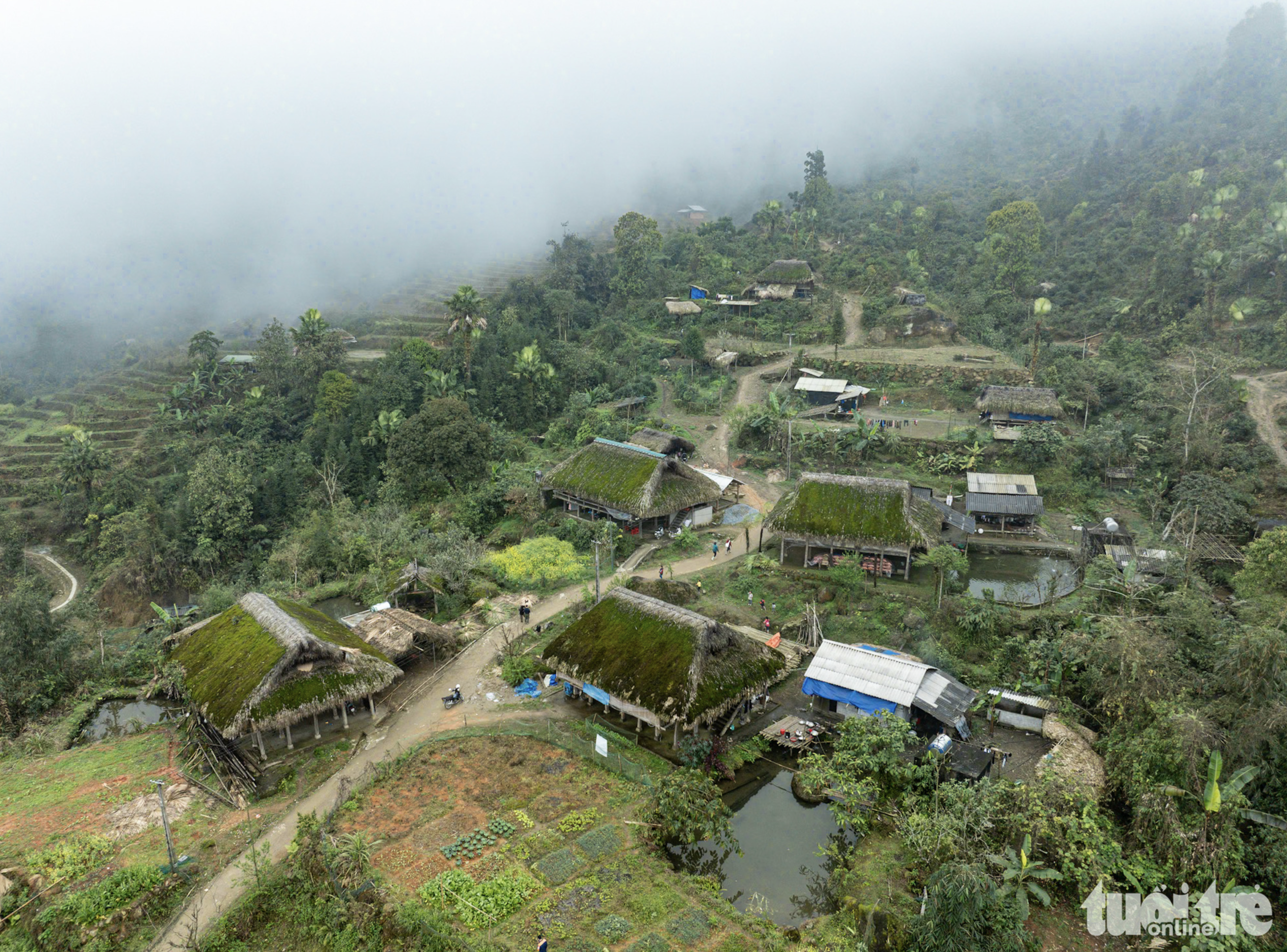High humidity helps moss develop well on house roofs in Xa Phin Mountainous Village in Vi Xuyen District under Ha Giang Province, northern Vietnam. Photo: Nam Tran / Tuoi Tre