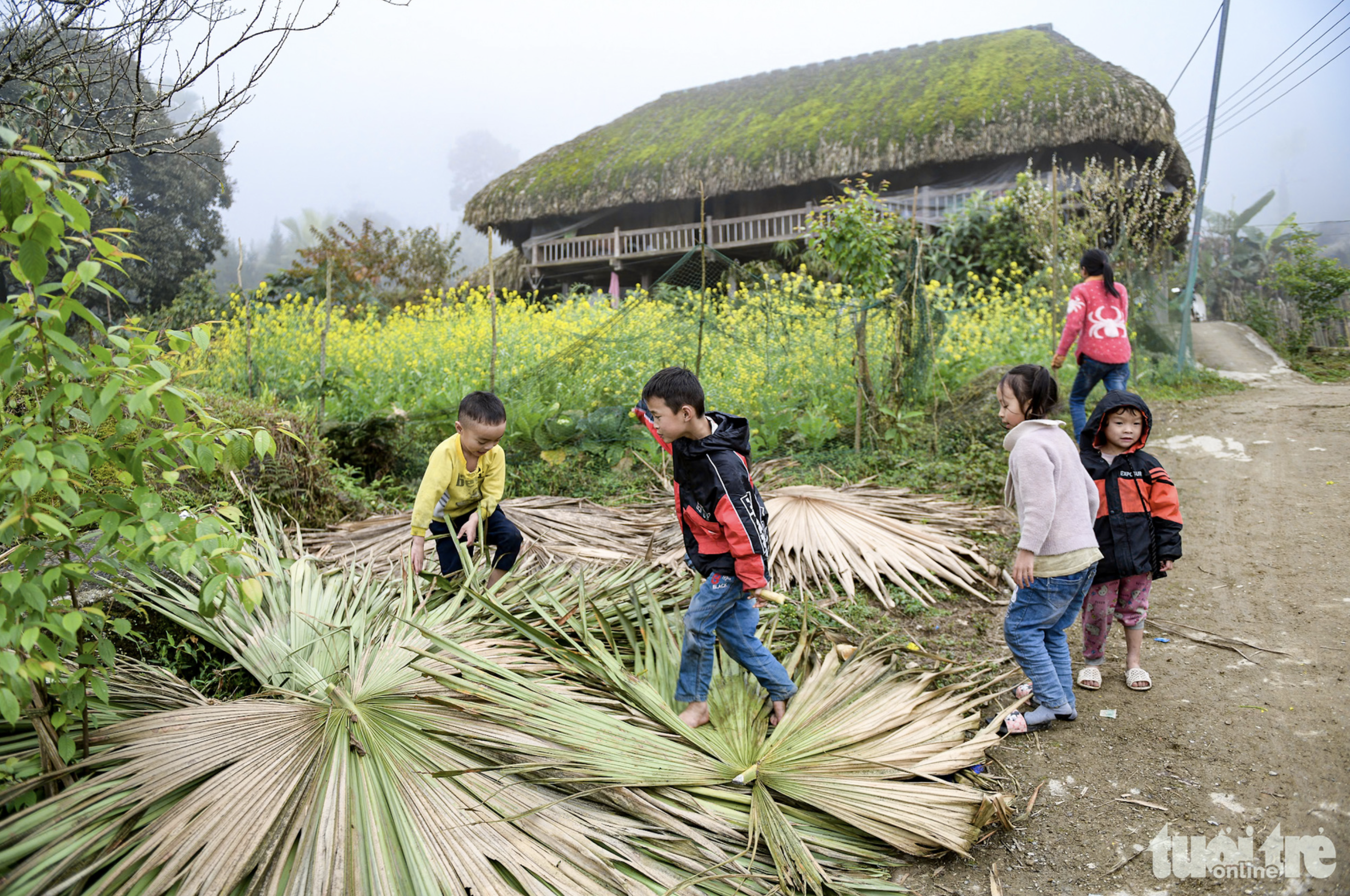 Stilt house roofs, made of palm leaves, have a lifespan of 40 years. Photo: Nam Tran / Tuoi Tre