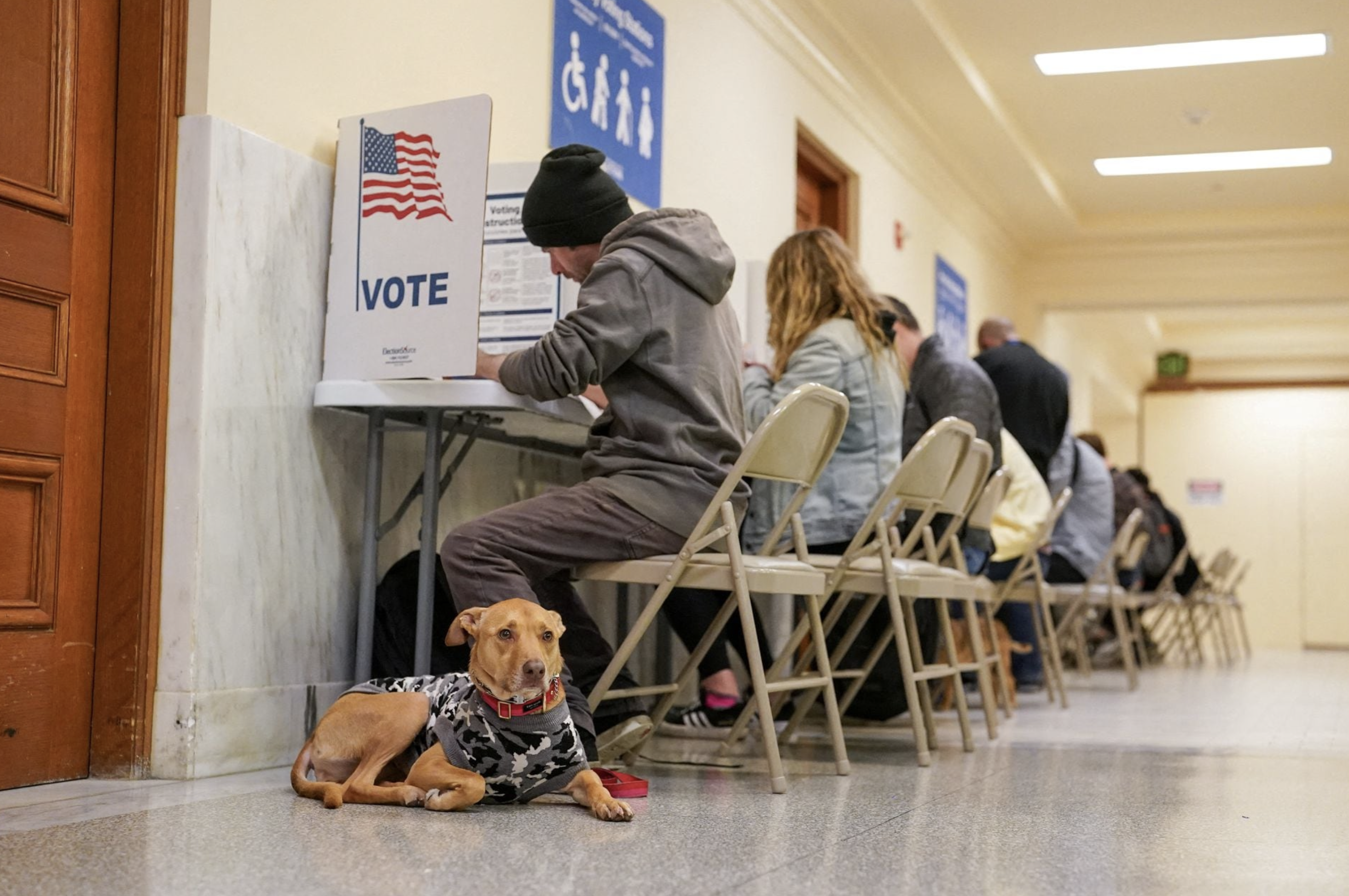 A dog waits for its owner to finish voting at the San Francisco City Hall voting center during the Super Tuesday primary election in San Francisco, California, U.S. March 5, 2024. Photo: Reuters