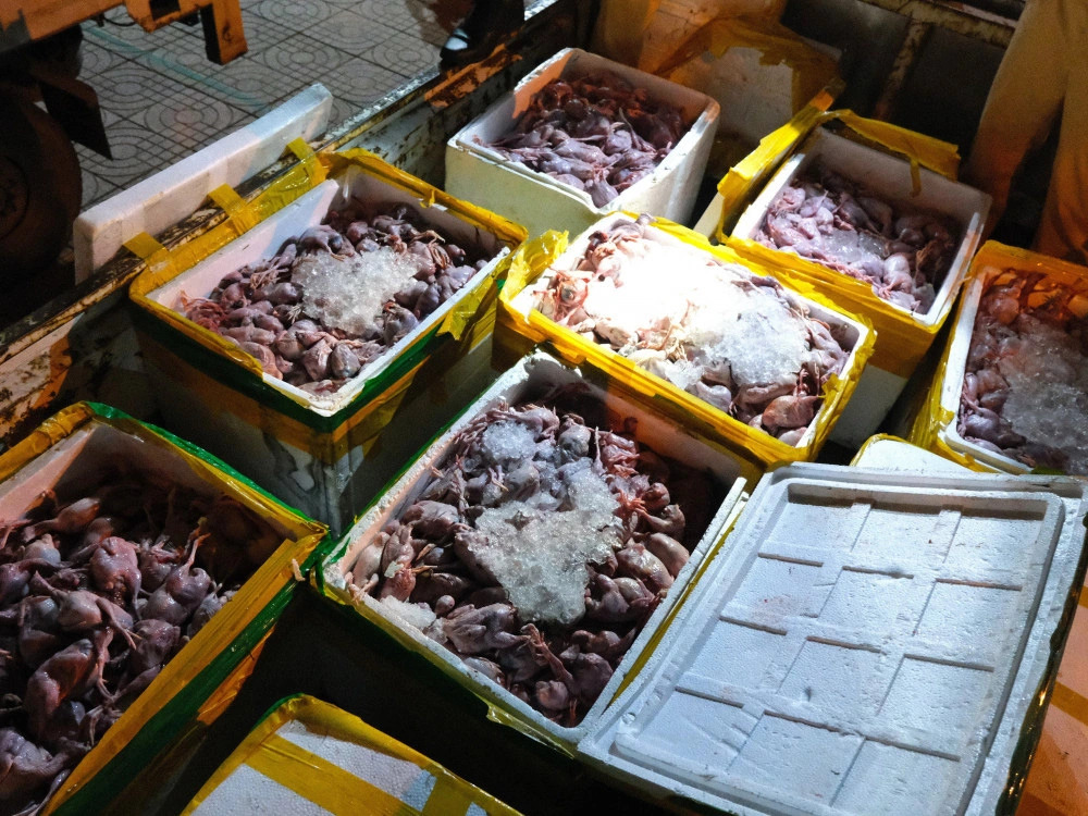 The quail meat had a foul smell.  Photo: Supplied