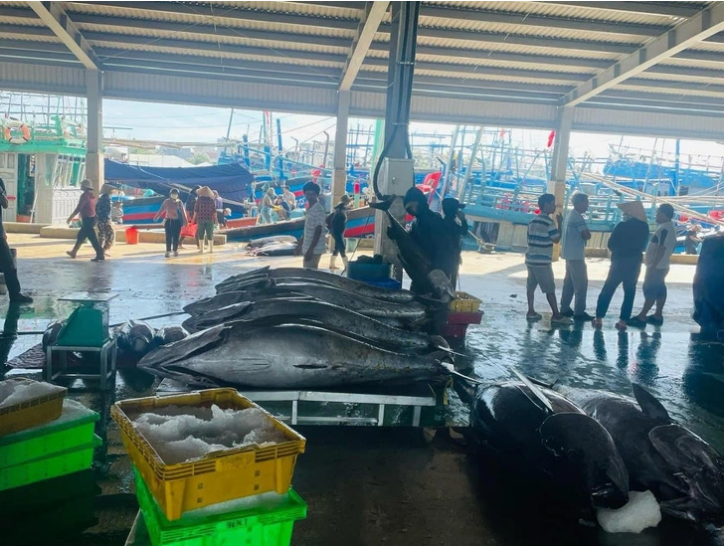 Vietnam’s tuna exports to EU skyrocket