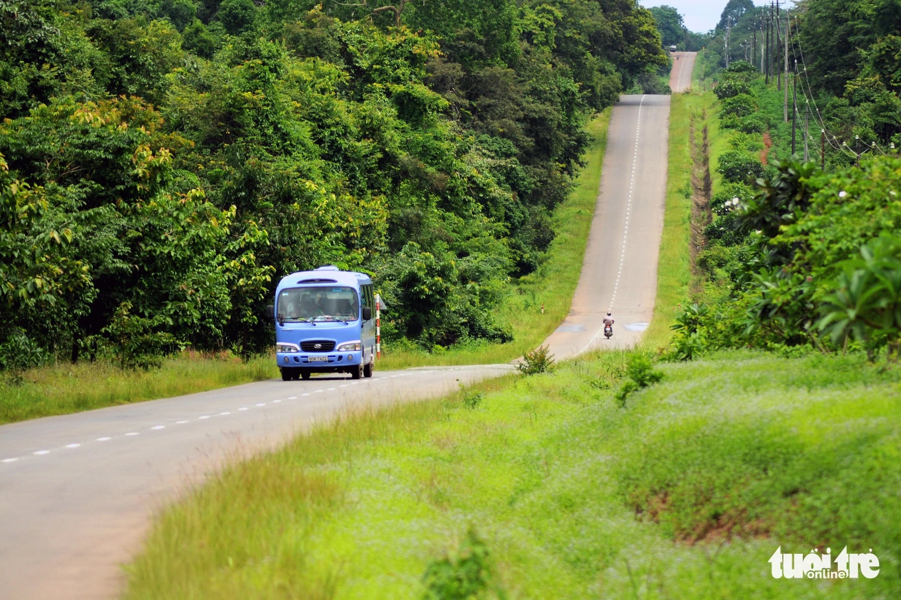 A road leads to the Dong Nai Culture And Nature Reserve in Dong Nai Province, southern Vietnam. Photo: A Loc / Tuoi Tre