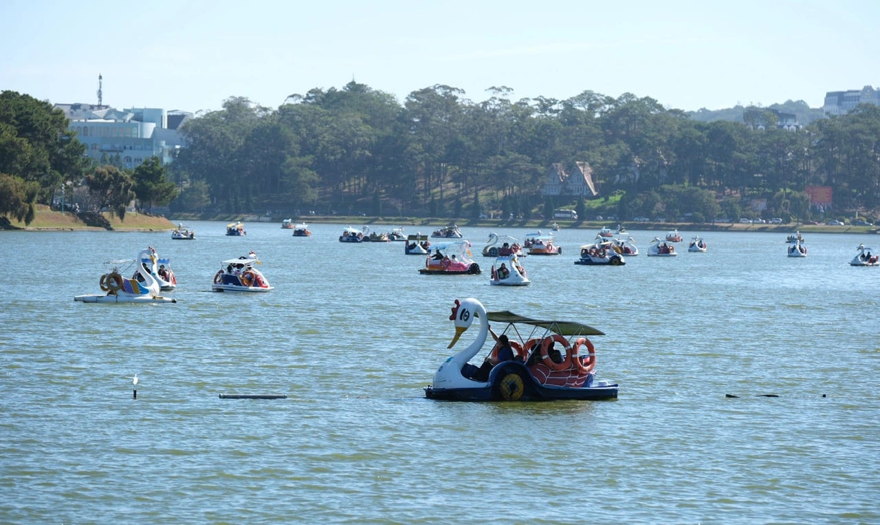 Tourists use duck-shaped pedal boats on Xuan Huong Lake in Da Lat City, Lam Dong Province, VIetnam. Photo: M.V / Tuoi Tre