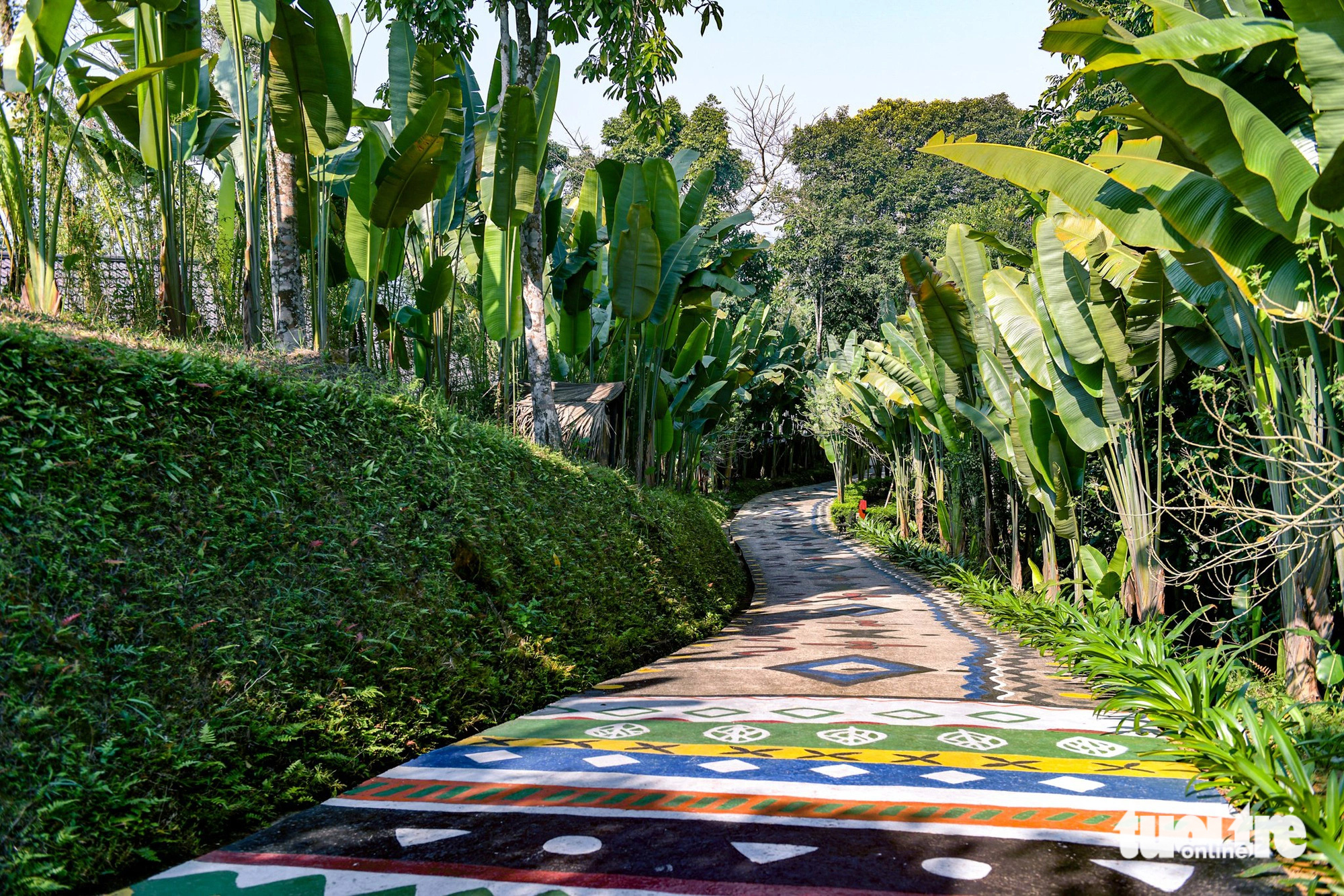 A painted road in the resort where an American billionaire couple vacationed in Ha Giang Province, northern Vietnam. Photo: Nam Tran / Tuoi Tre