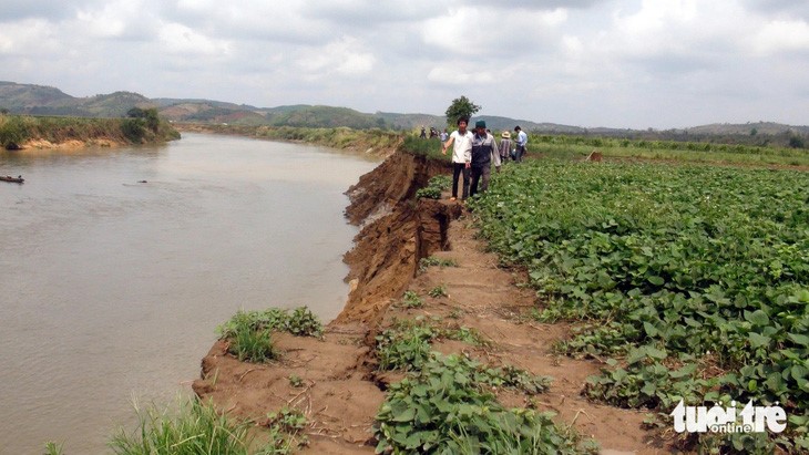 More than 122 hectares of farmland has fallen into the Krong No River in Dak Nong Province in Vietnam’s Central Highlands since 2010. Photo: Trung Tan / Tuoi Tre