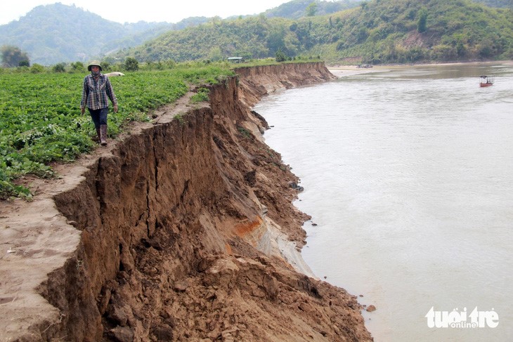 A section of farmland falls into the Krong No River. Photo: Trung Tan / Tuoi Tre