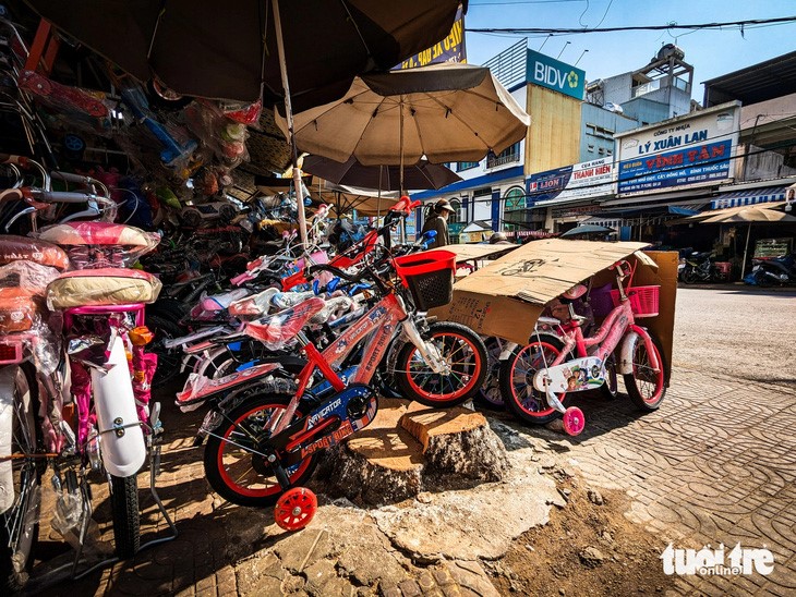 Bicycles are displayed on a stump on Hoang Van Thu Street in Gia Lai Province. Photo: Tan Luc / Tuoi Tre