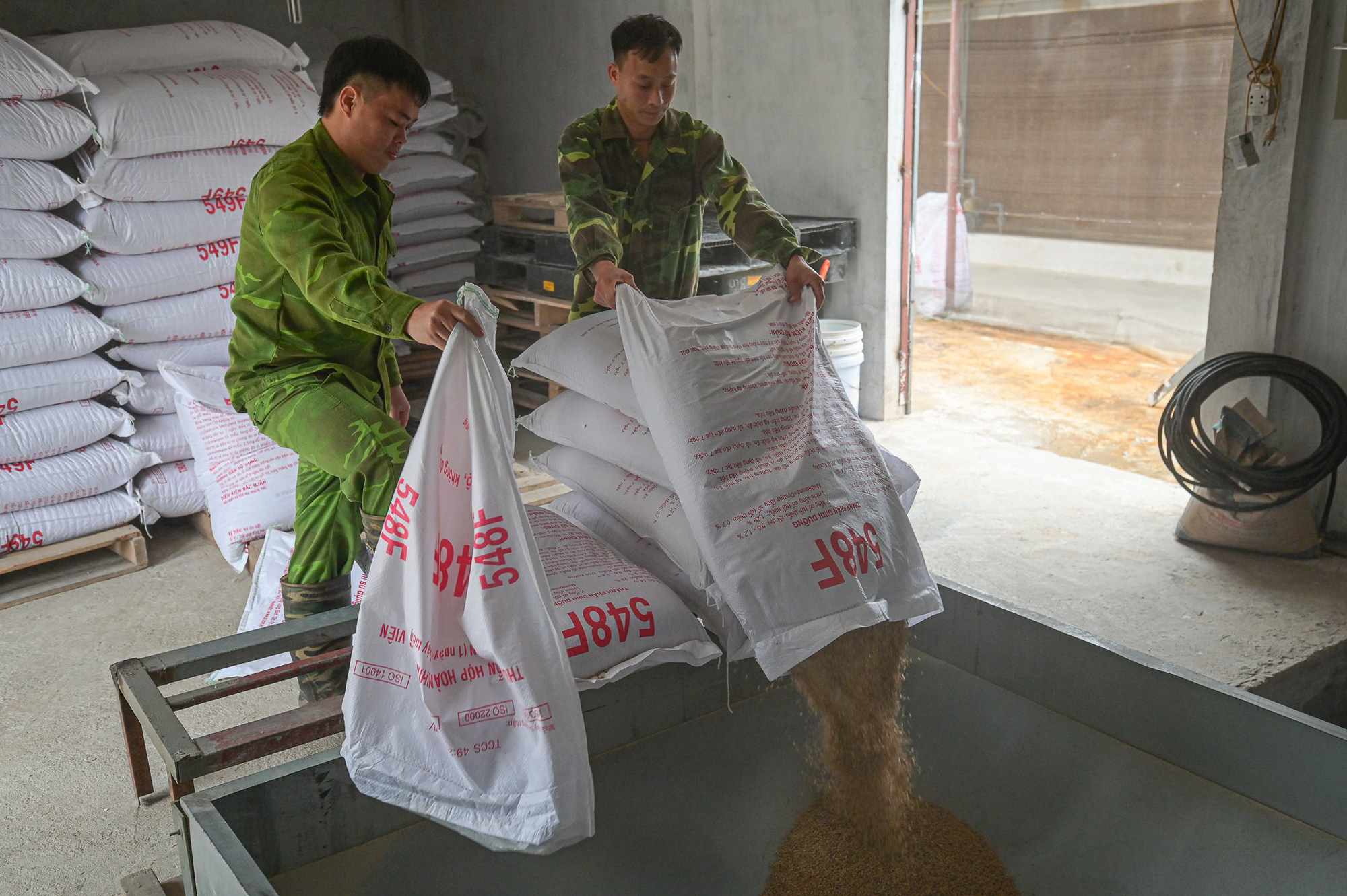 Workers pour rice bran into an automatic system, from which machines will deliver the food to each trough, allowing the ducks to enjoy their meal while listening to music. Photo: Ha Quan / Tuoi Tre