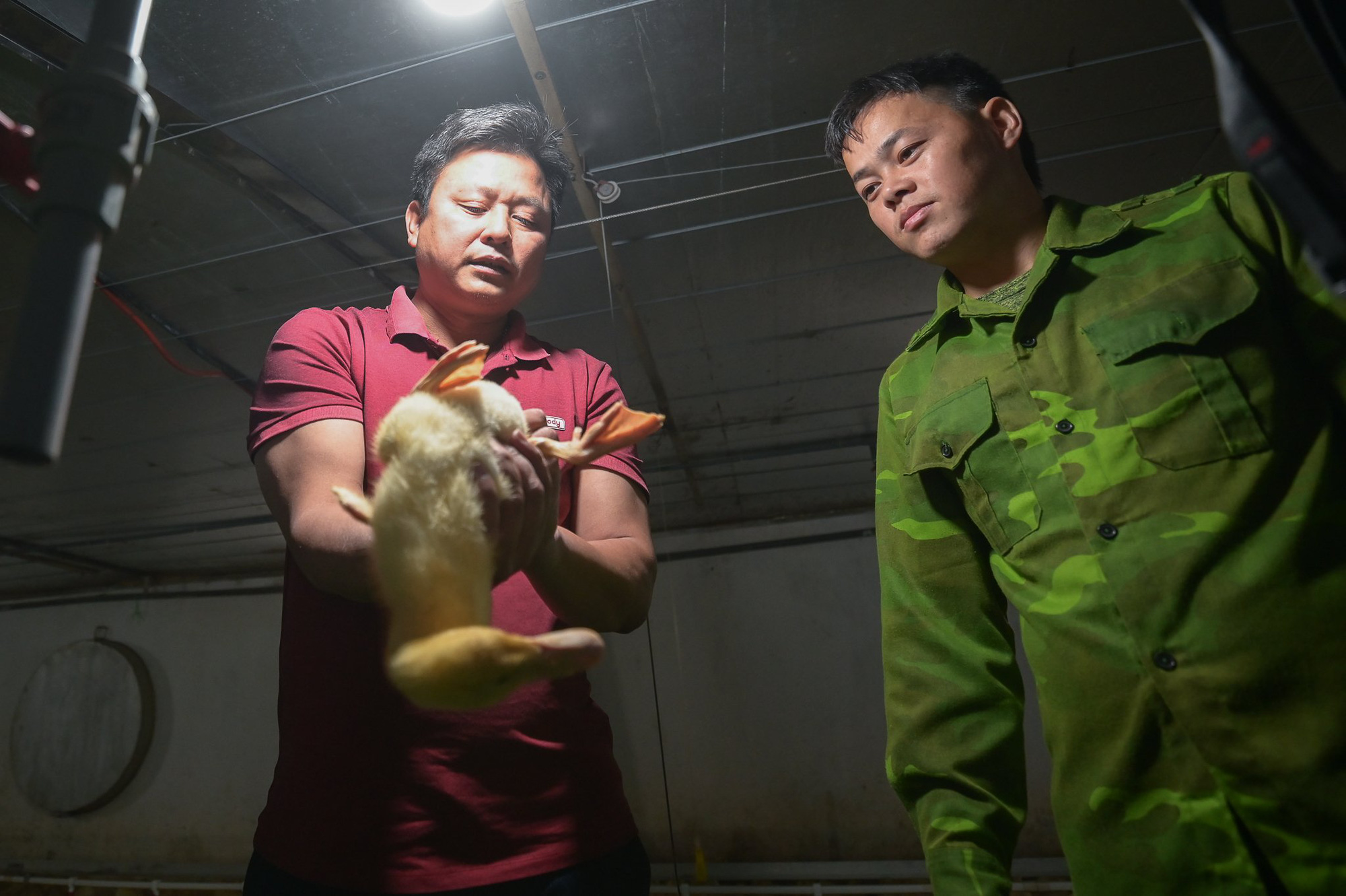 Le Xuan Nam (L) instructs a worker how to take care of ducks at his duck farm in Tu Lan Ward, Viet Yen Town, Bac Giang Province, northern Vietnam. Photo: Ha Quan / Tuoi Tre