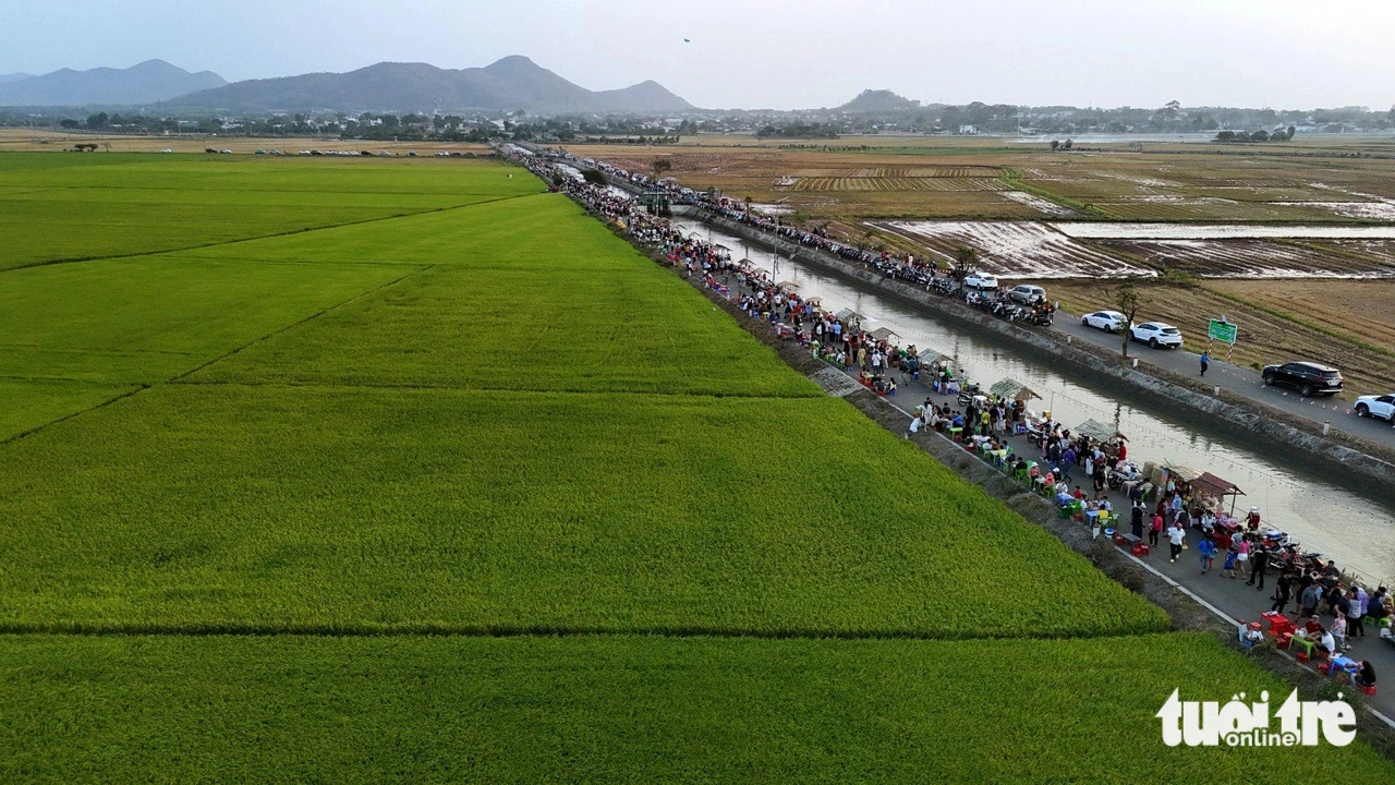 Culinary market amid rice fields popular among foodies in Vietnam’s Ba Ria-Vung Tau