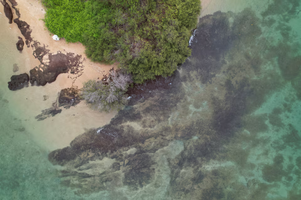 A drone view shows the reefs around Man Nai Island, off the coast of southeastern Rayong province, Thailand, February 29, 2024. Photo: Reuters