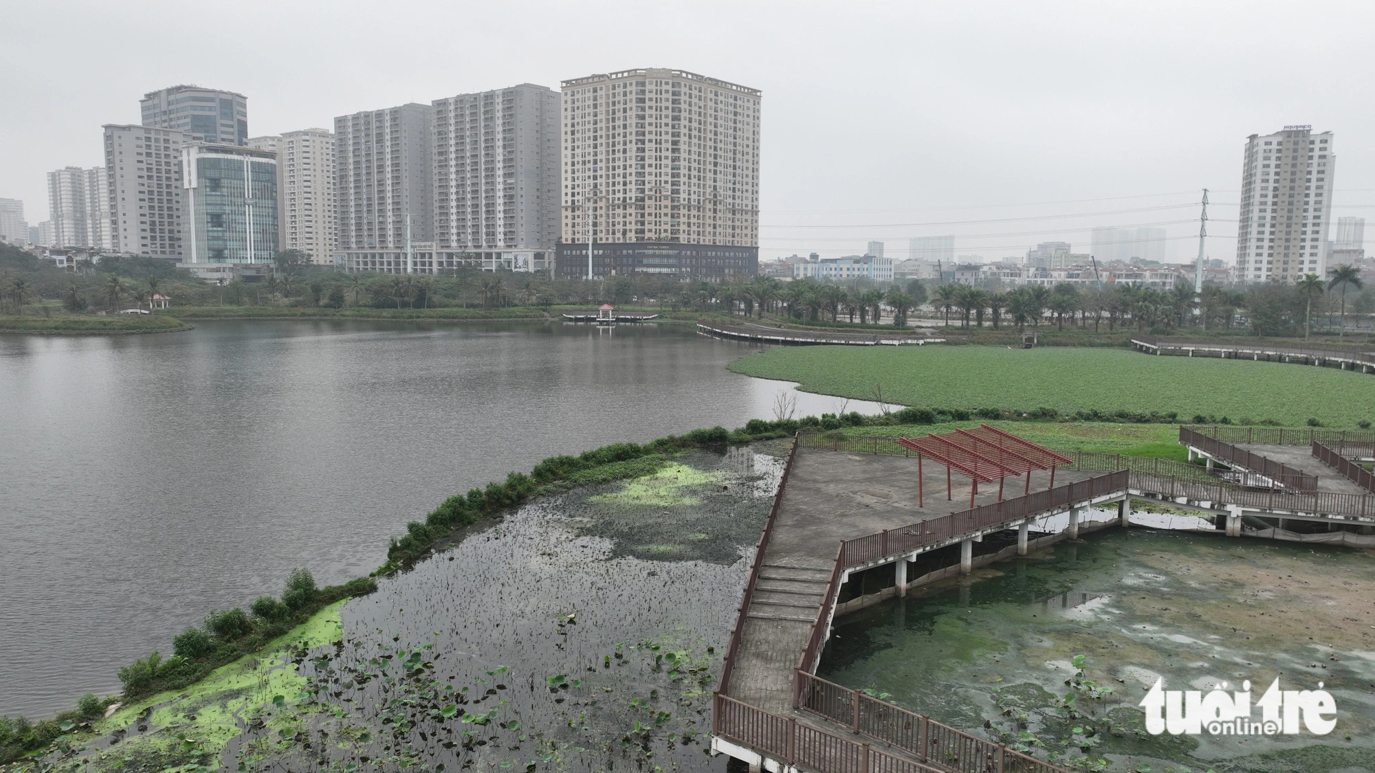 The lake within the stalled Phung Khoang Lake Park project in Nam Tu Liem District, Hanoi, is murky, covered in green moss, and emits a foul odor. Photo: Pham Tuan / Tuoi Tre