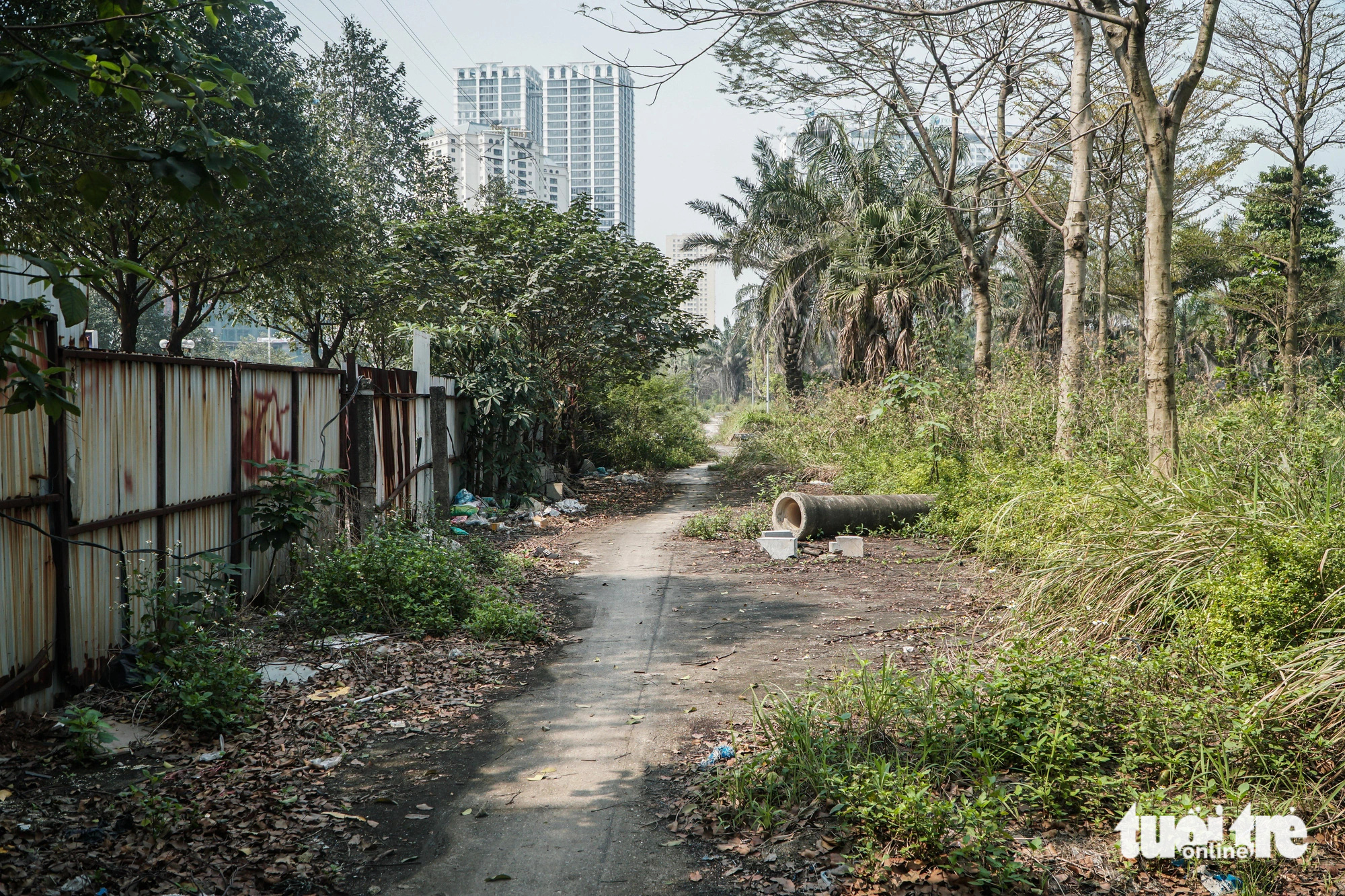 Grass overgrows a path at the stalled Phung Khoang Lake Park project in Nam Tu Liem District, Hanoi. Photo: Pham Tuan / Tuoi Tre