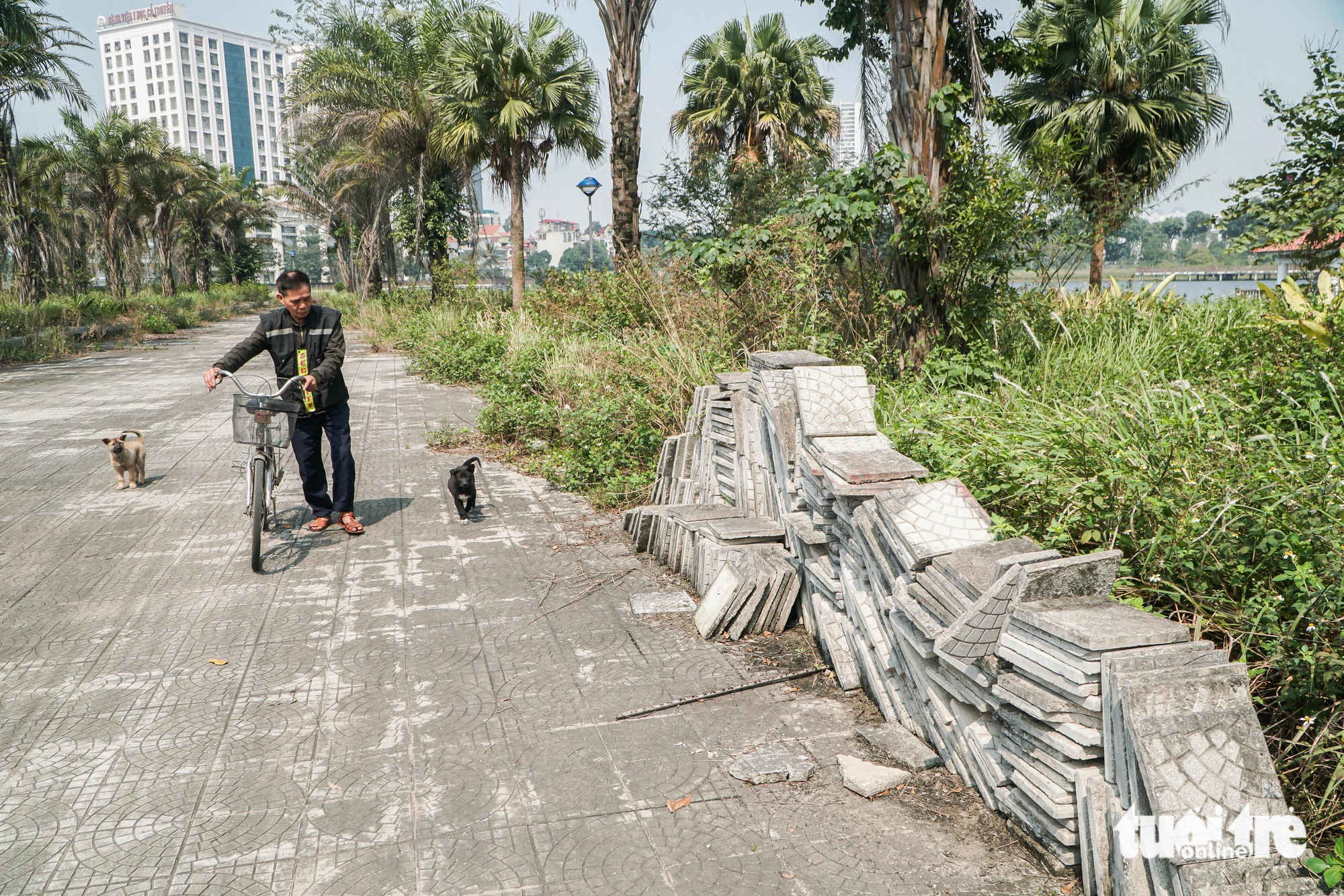 The stalled Phung Khoang Lake Park project suffers degradation in Nam Tu Liem District, Hanoi. Photo: Pham Tuan / Tuoi Tre