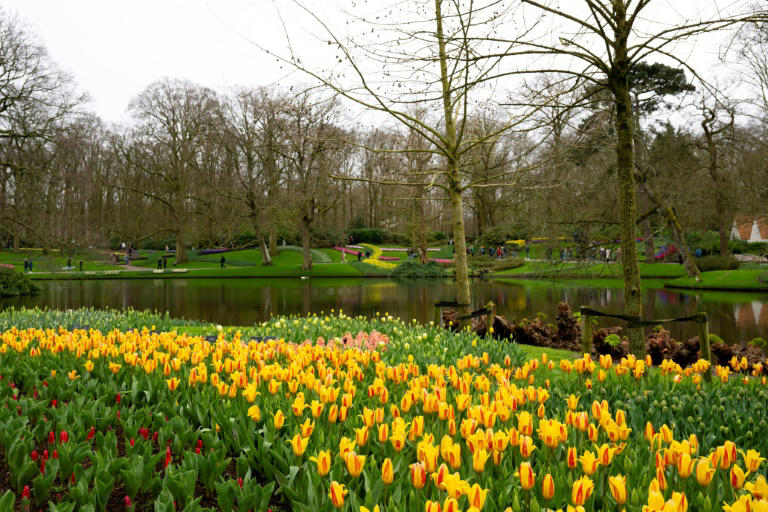 The gardens contain millions of tulips of every colour as well as other flowers across 32 hectares. Photo: AFP