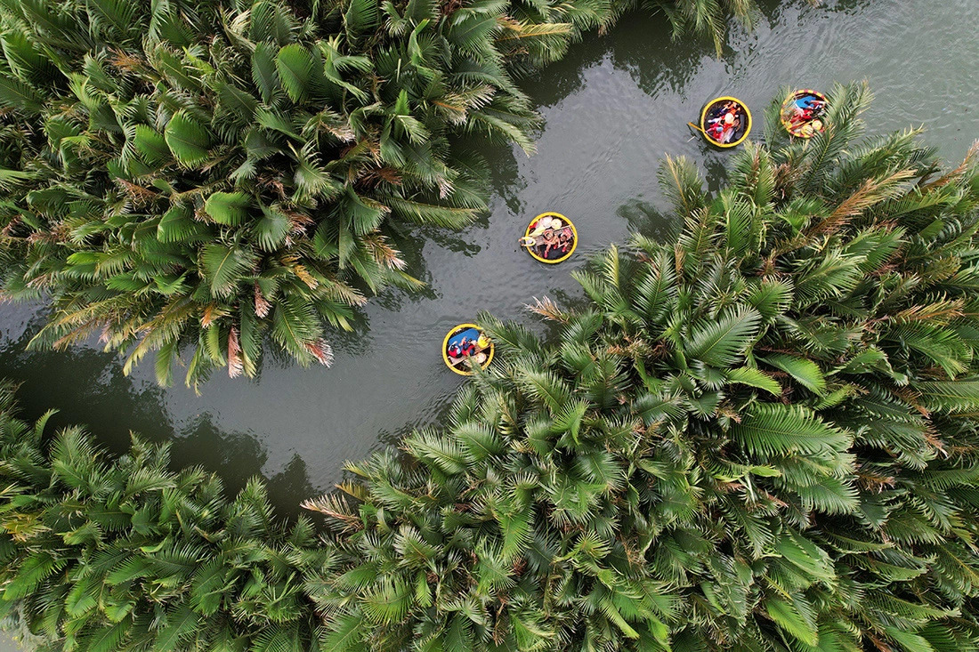 Drone captures stunning snapshots of central Vietnam’s Cam Thanh nipa palm forest