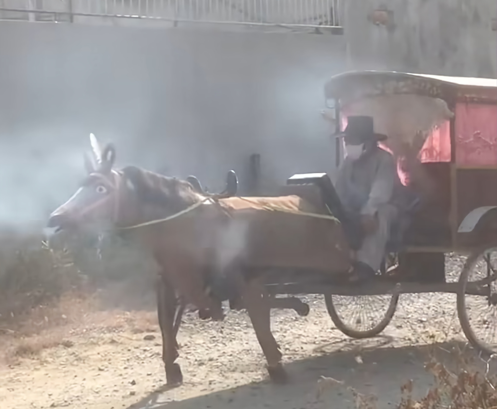 Tran Van Dung drives his iron-framed horse in Binh Chanh District, Ho Chi Minh City. Screenshot taken from a social media video