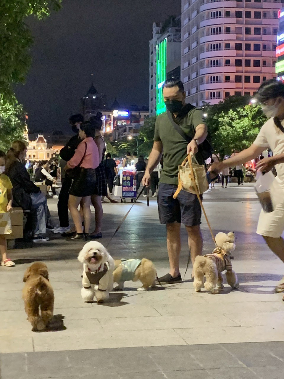 Owners take their dogs out for a walk at Nguyen Hue Pedestrian Zone in District 1, Ho Chi Minh City. Photo: T.T.D. / Tuoi Tre