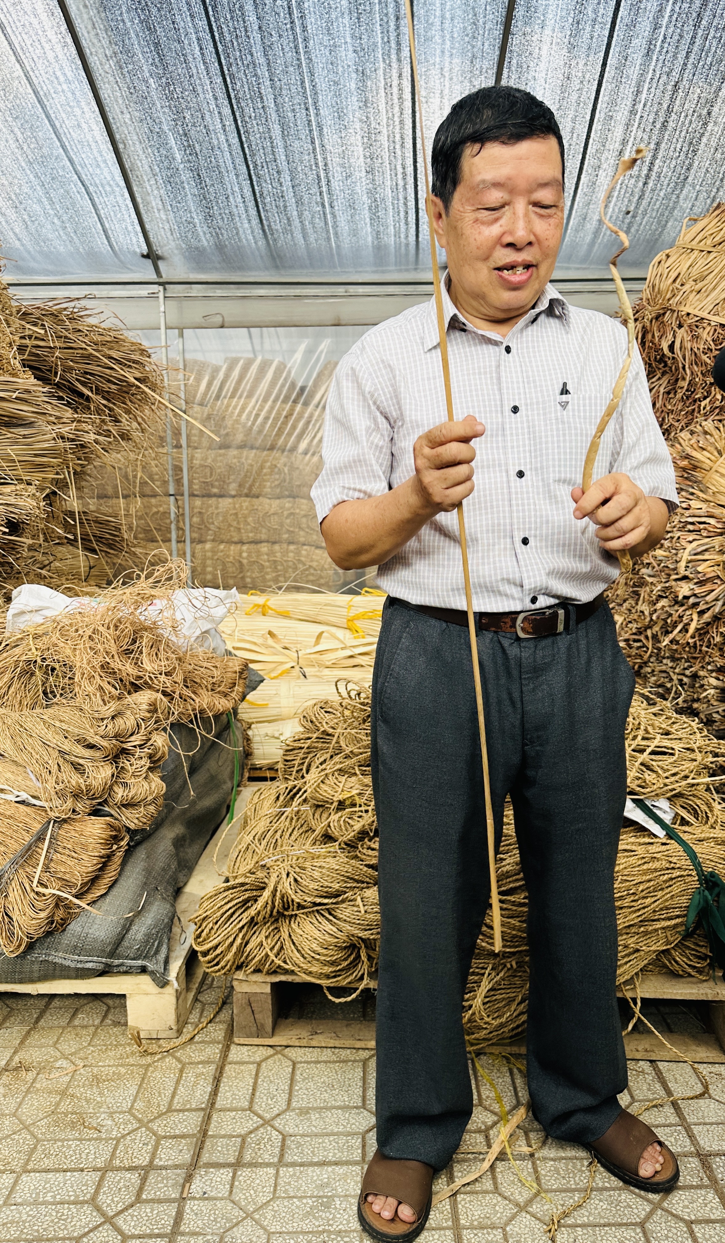 Dr. Duong Van Ni is pictured introducing grass species at a craft village in Nga Nam Town, Soc Trang Province. Photo: Tieu Bac / Tuoi Tre News