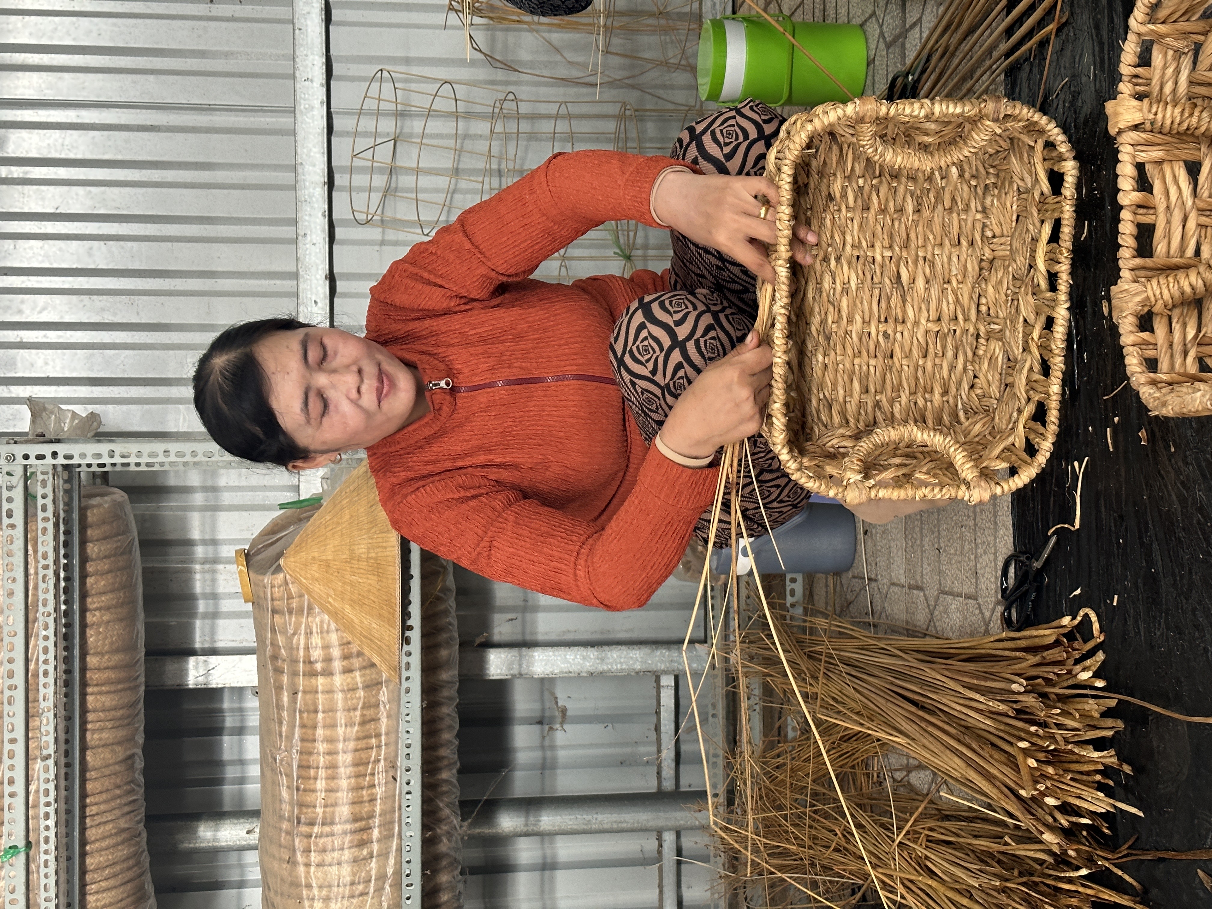 A craftswoman is using bulrush to weave a basket. The bulrush was regenerated by Dr. Duong Van Ni to create sustainable livelihood in Vietnam’s Mekong Delta. Photo: Minh Khoi / Tuoi Tre