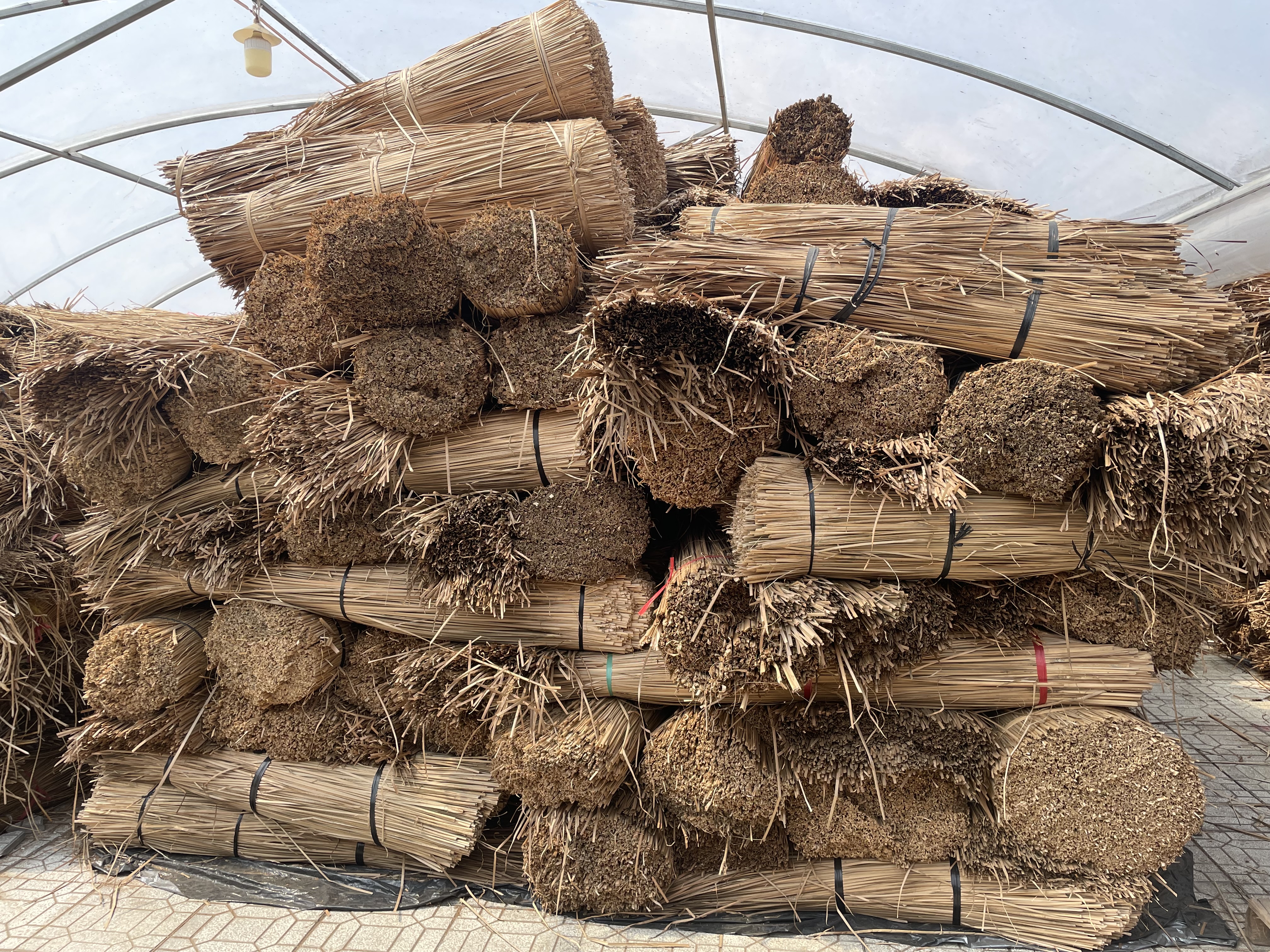 Dried grass used for crafting in Nga Nam Town, Soc Trang Province. Photo: Minh Khoi / Tuoi Tre