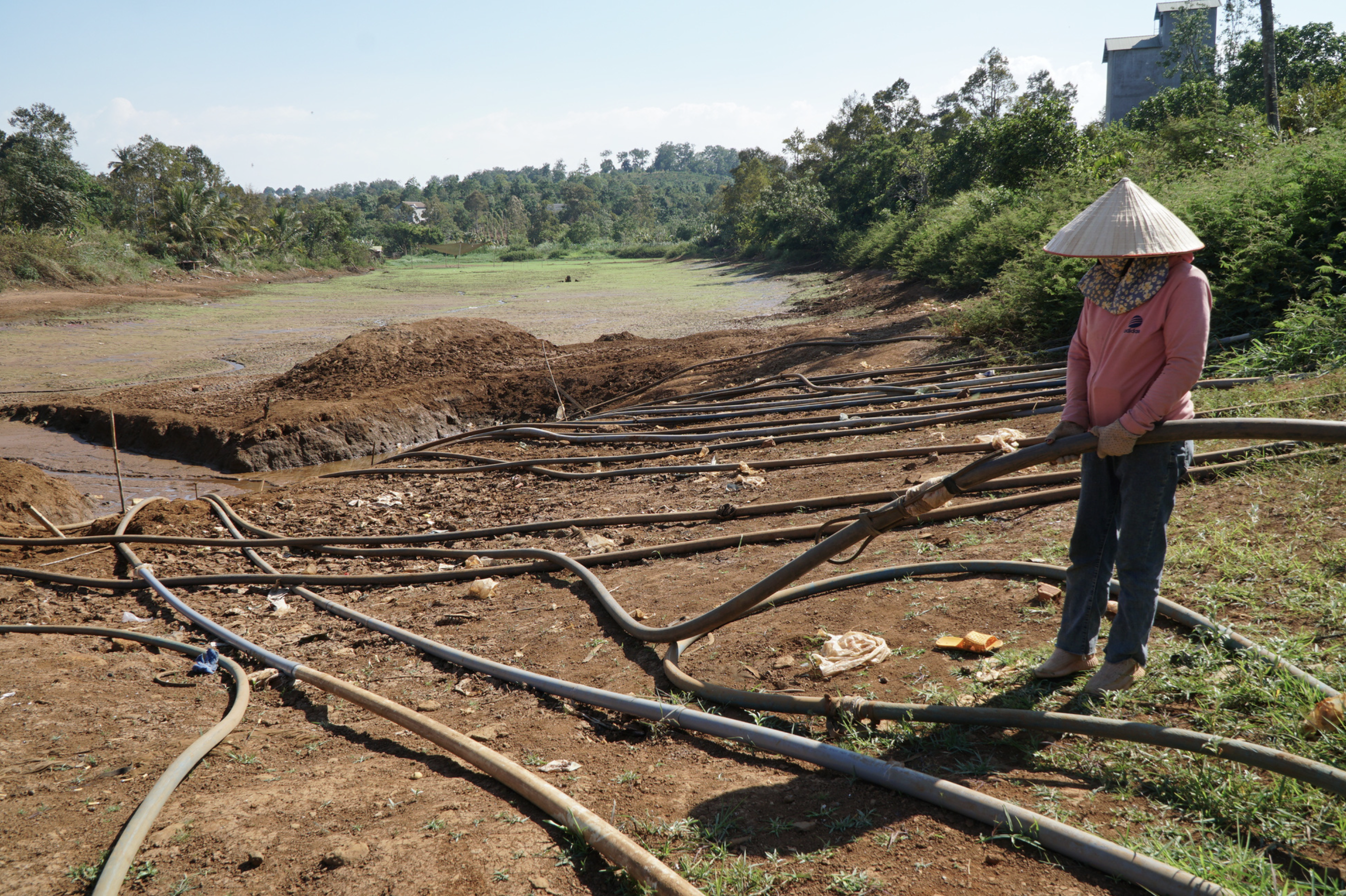 A farmer is pictured attaching a pipe to another to pump water from Dak Ken Lake in Dak Mil District, Dak Nong Province to her coffee field. Photo: Duc Lap / Tuoi Tre