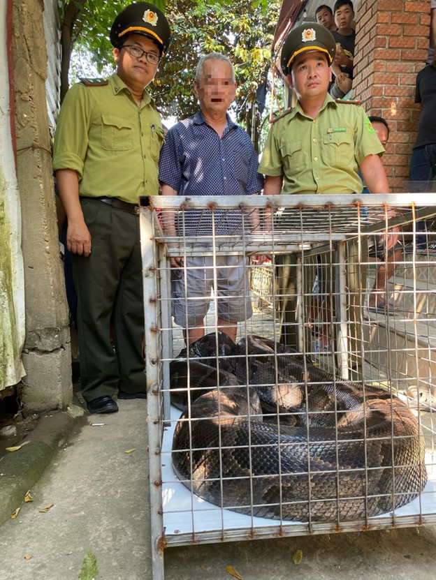 Resident hands over 85kg python to rangers in central Vietnam