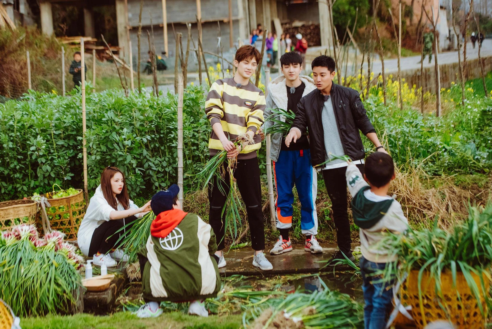 Cast members who are famous artists experience rural life in China’s ‘Haha Farmer’ reality TV show. Photo: Supplied