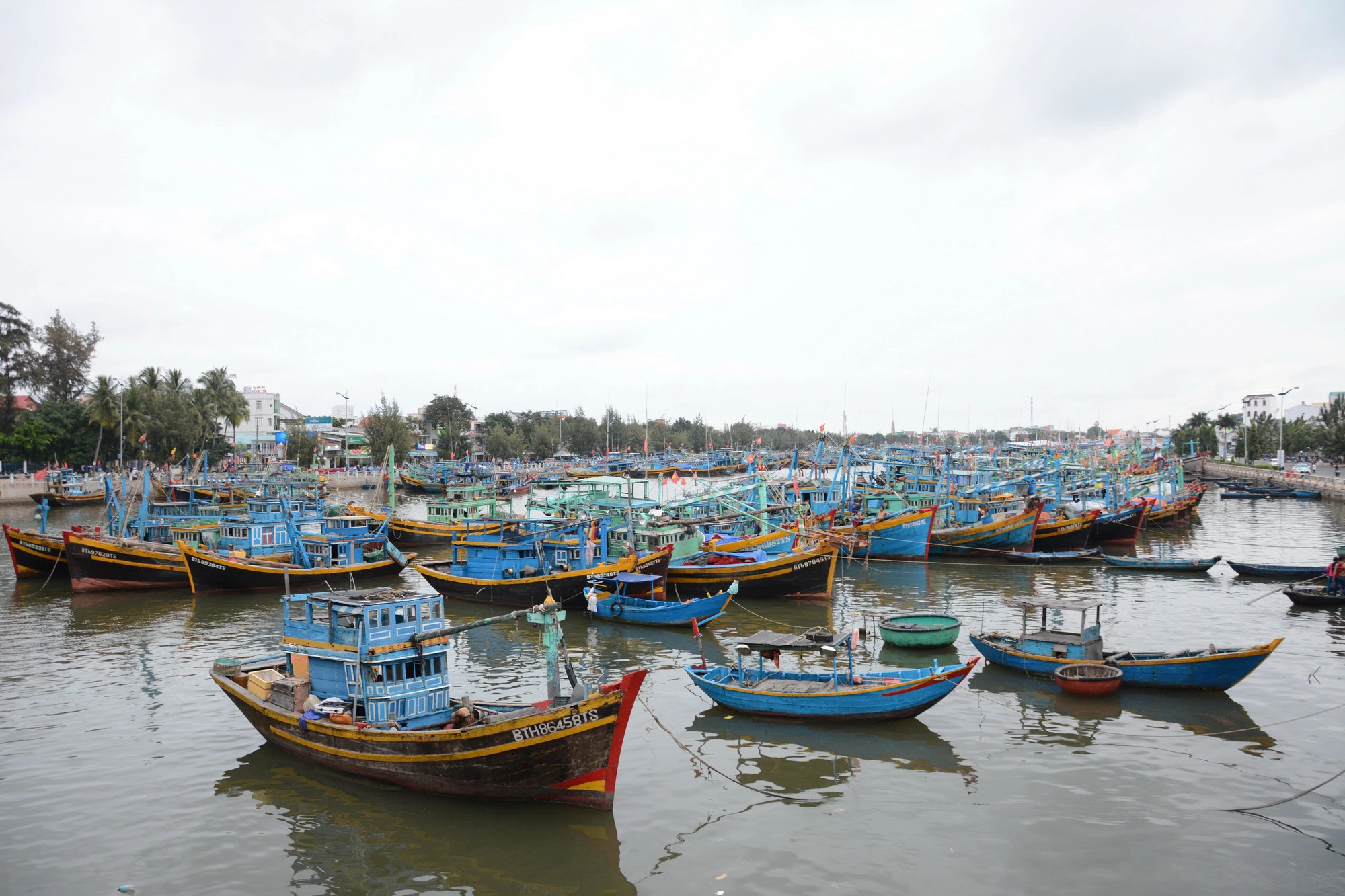 Man seeks approval for mining 3 tonnes of undersea gold in Vietnam's Binh Thuan