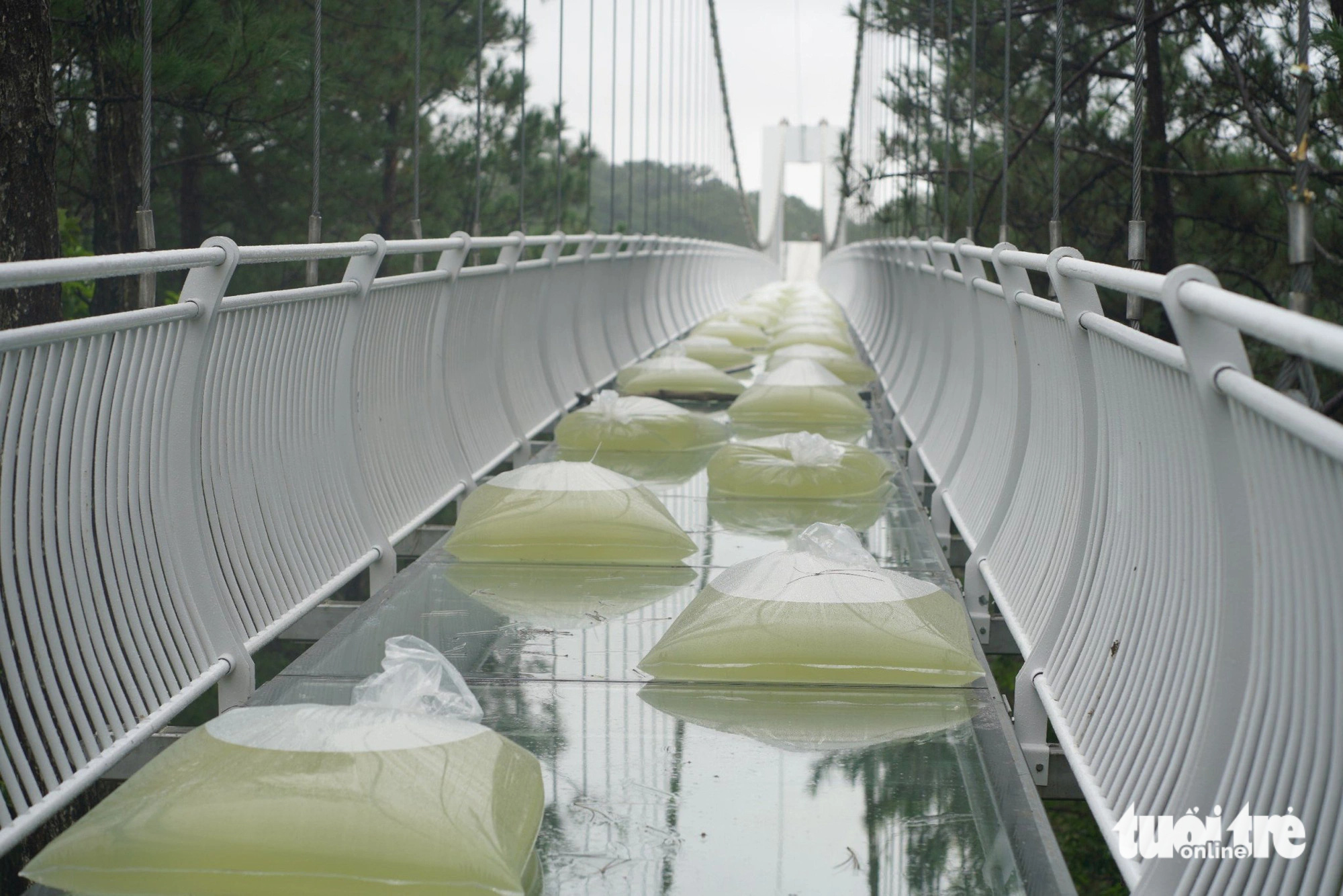 Load testing involves continuously pumping 50 metric tons of water into giant bags placed on the Ngan Thong glass bridge at Love Valley in Da Lat City, located in Lam Dong Province in the Central Highlands, Vietnam. Photo: T.A. / Tuoi Tre