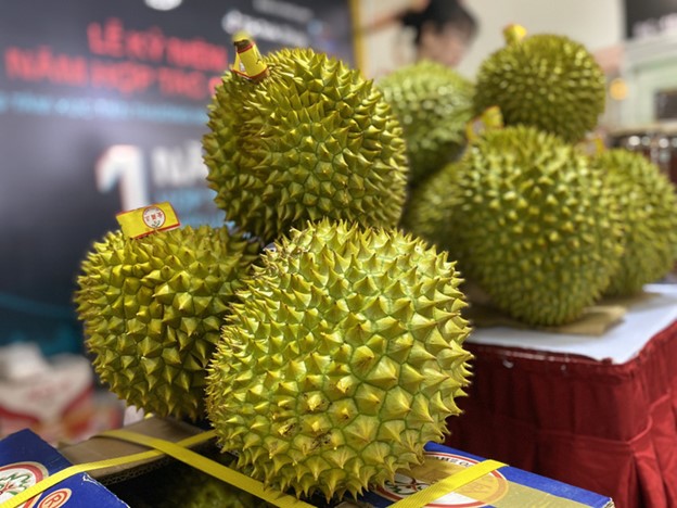 Vietnam overtakes Thailand to become China’s largest durian supplier