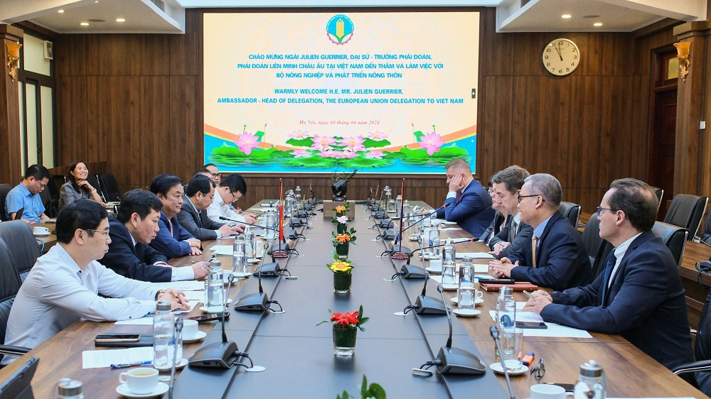 The meeting between Vietnamese Minister of Agriculture and Rural Development Le Minh Hoan and other Vietnamese officials (L) and EU Ambassador to Vietnam Julien Guerrier and other EU officials in Hanoi on April 4, 2024. Photo: Quynh Chi / Tuoi Tre