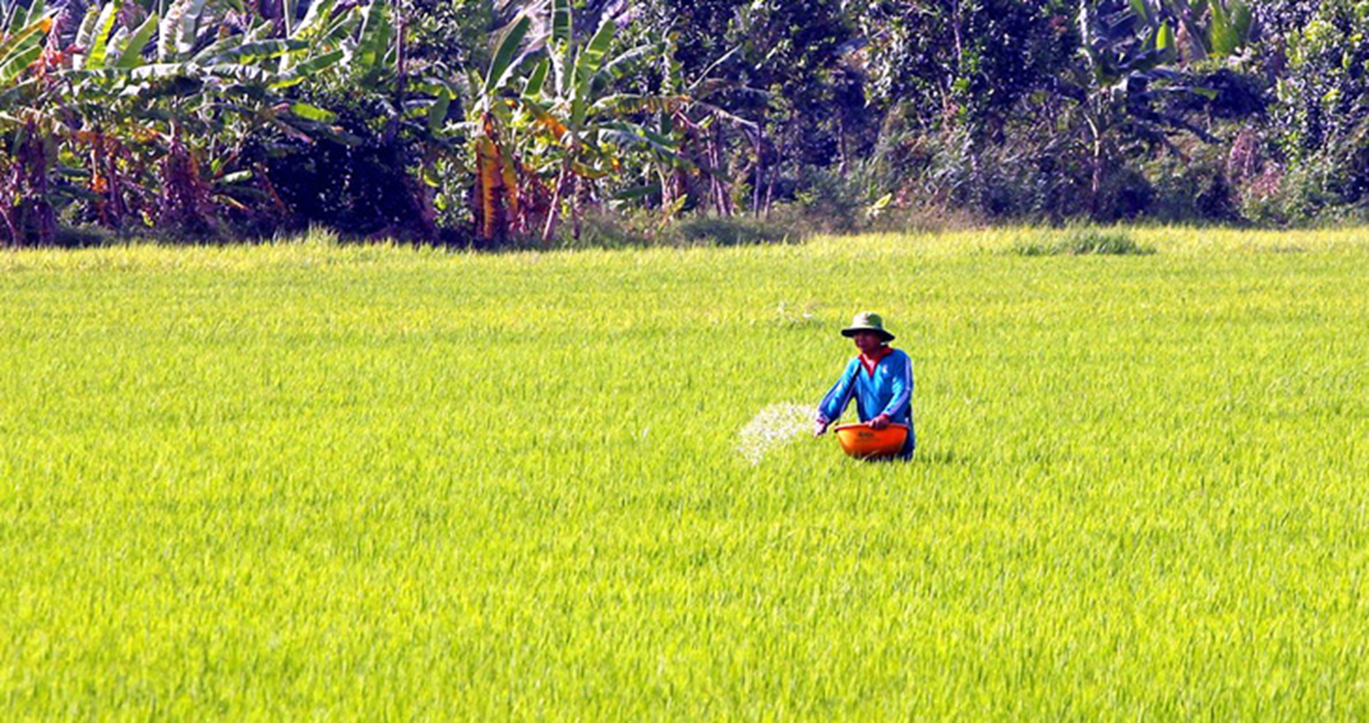 US-funded $4.4mn Fertilizer Right Project launched in Vietnam for proper fertilization