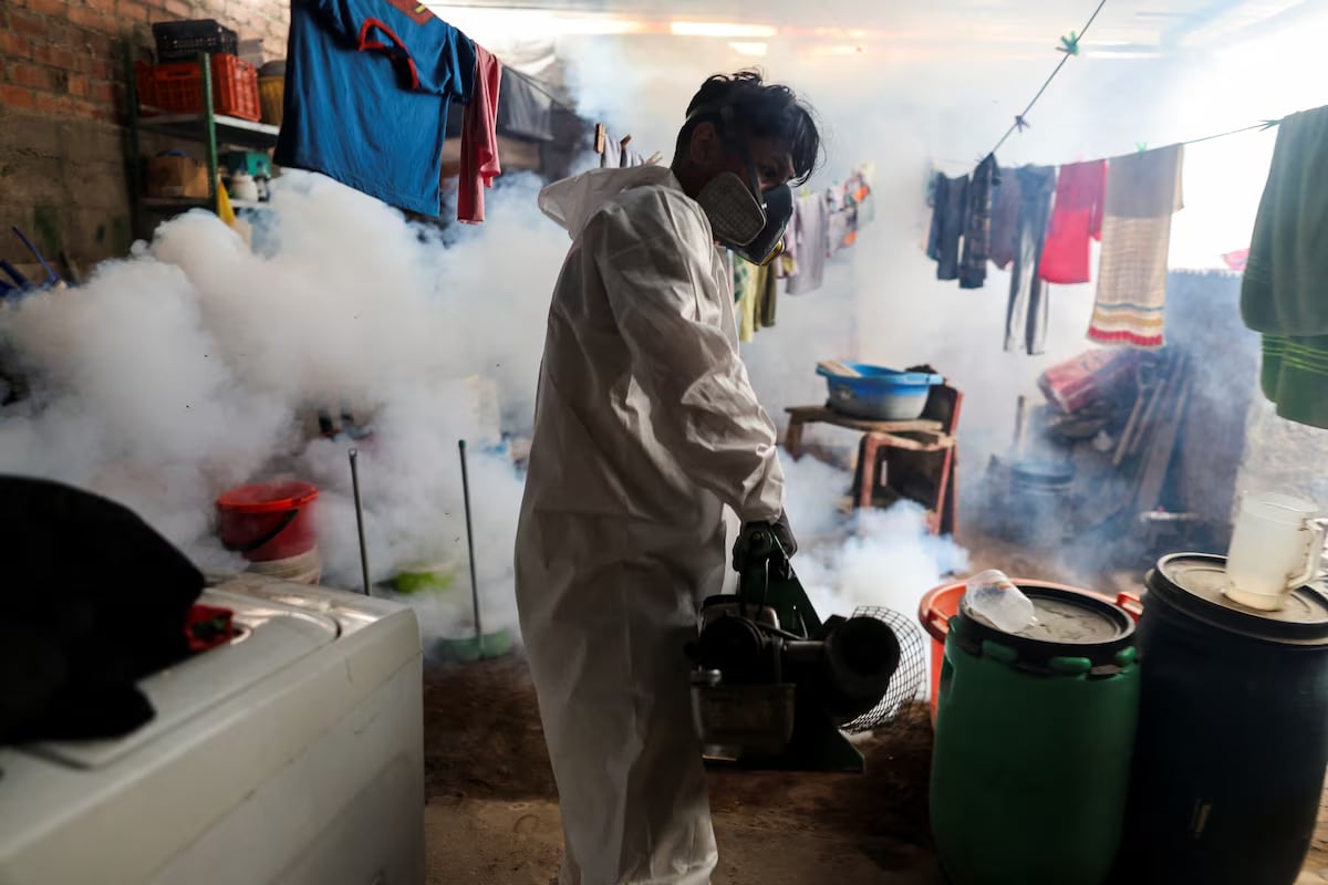 Peru's dengue deaths triple as climate change swells mosquito population
