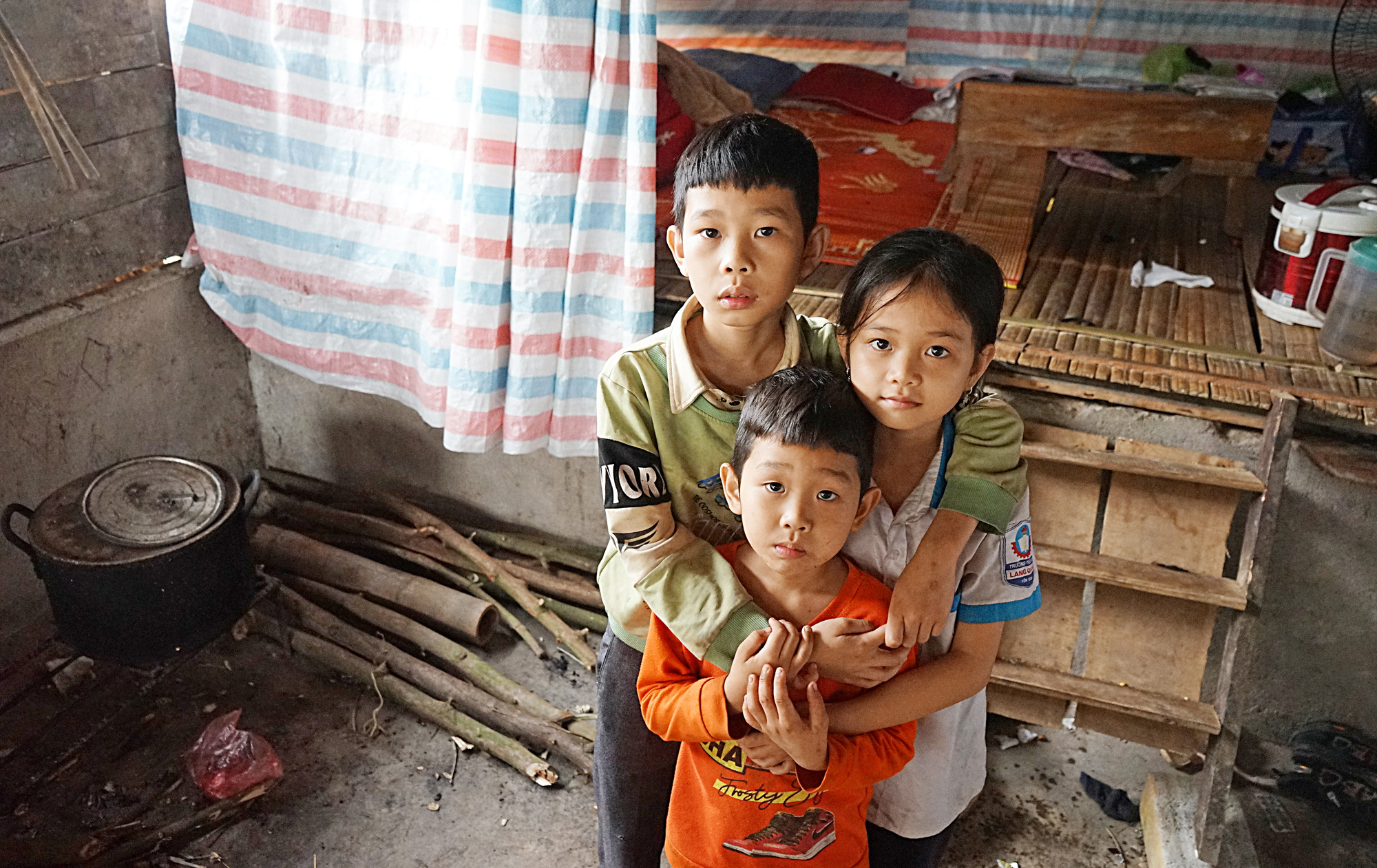Siblings live in pigpen following family tragedy in northern Vietnam