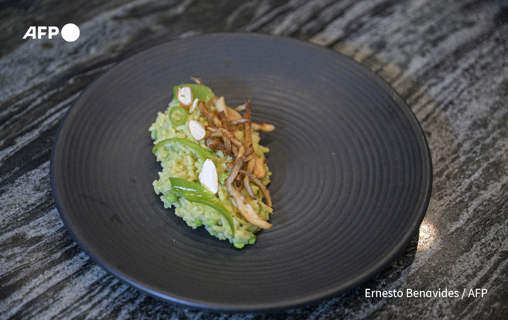 A dish made with peels, leaves, and stems of vegetables and fruits is prepared in a restaurant laboratory where a team of chefs and nutritionists investigate culinary techniques to optimize food in Lima on March 26, 2024. Photo: AFP