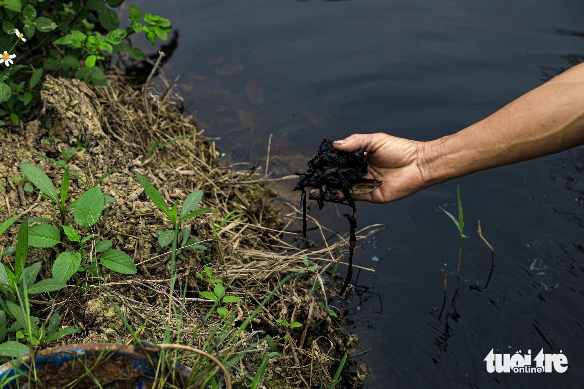Murky wastewater in the contaminated channel. Photo: Tuoi Tre