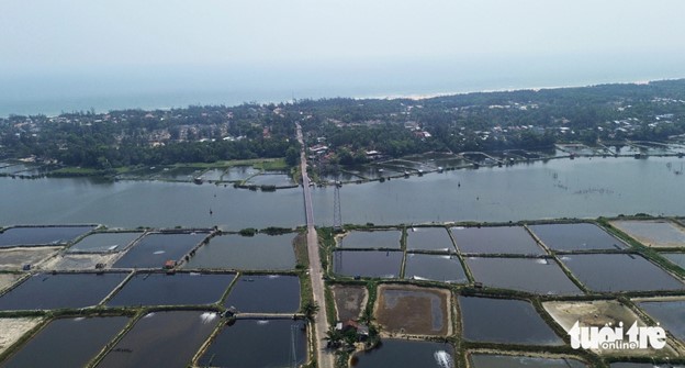 Many shrimp ponds on a Truong Giang River section. Photo: Le Trung / Tuoi Tre