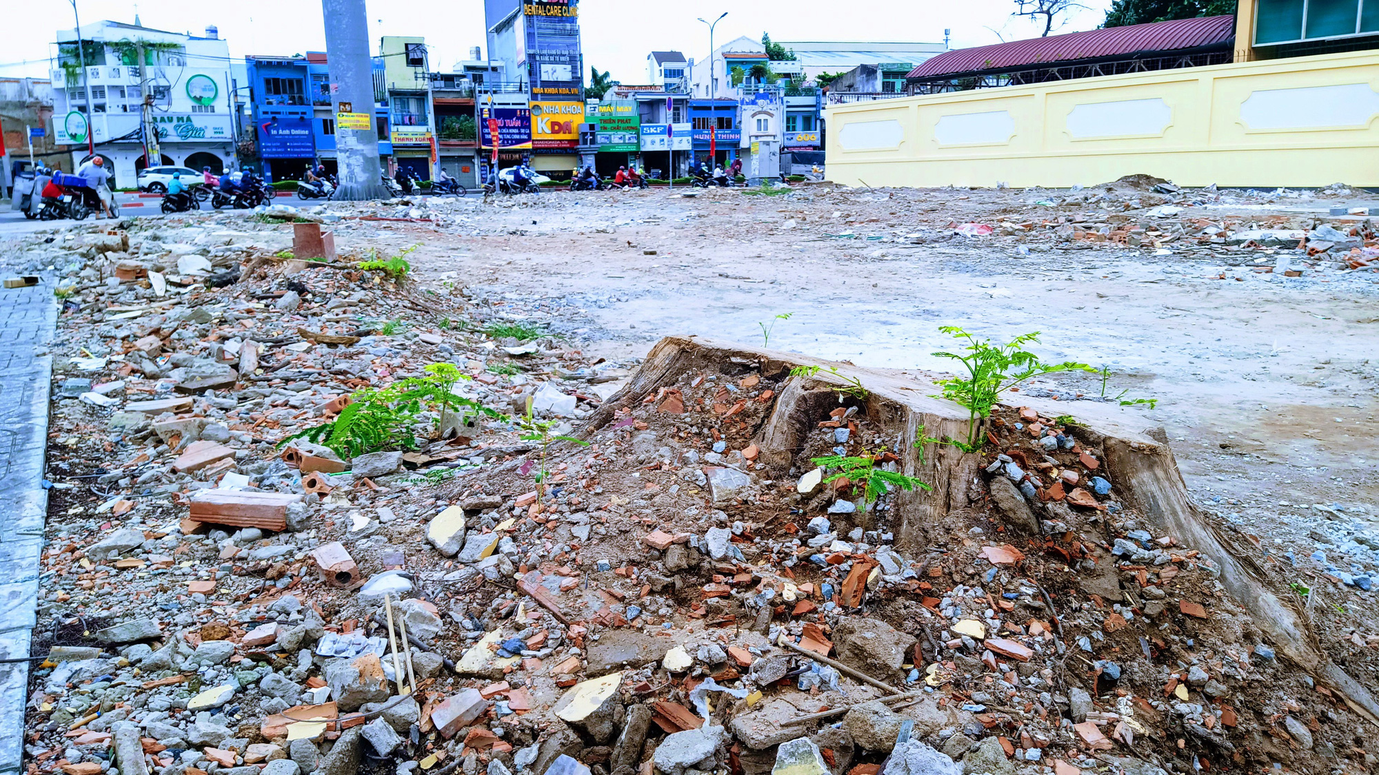 Relocation, felling of 453 trees proposed for Ho Chi Minh City’s 2nd metro construction