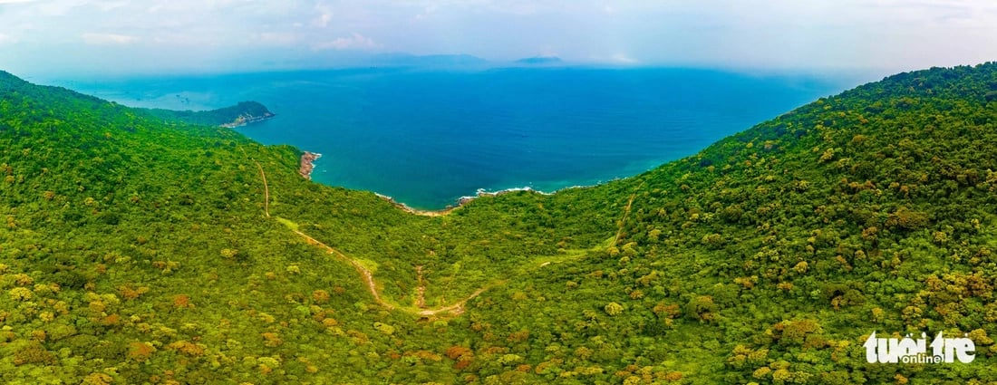About 10km northeast of Da Nang's center is Son Tra Peninsula in Son Tra District. The peninsula is considered a ‘green lung' of the city on Vietnam's central coast. Photo: Tran Minh Tri