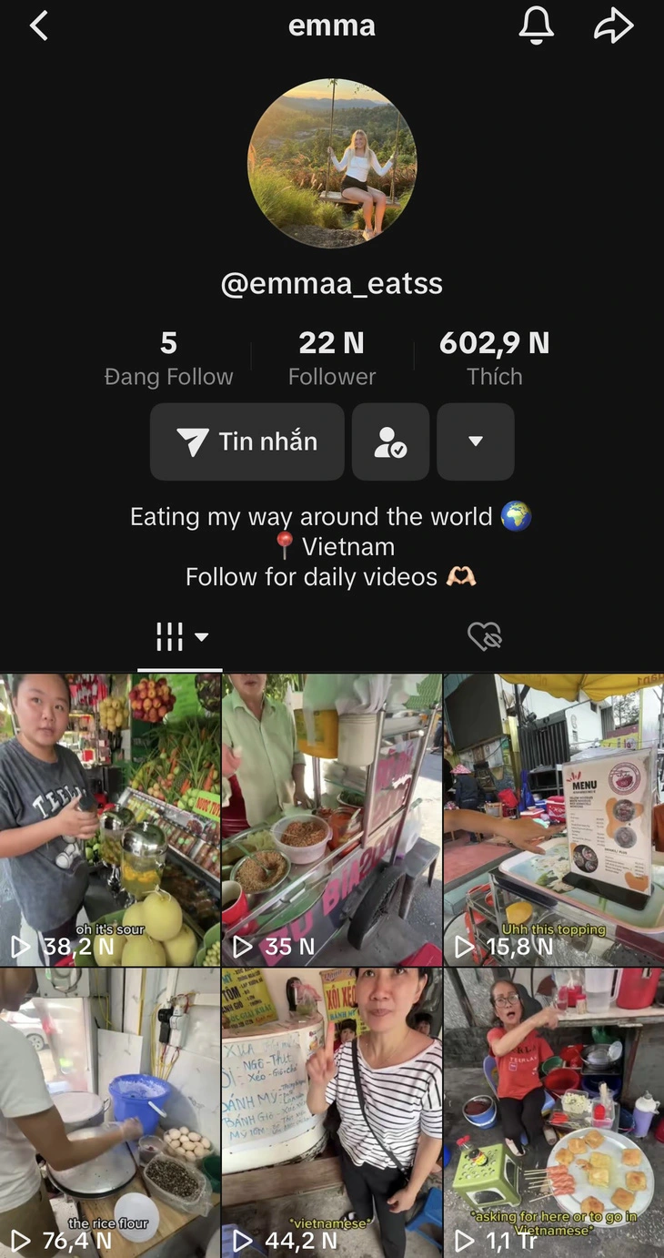 This screenshot from the TikTok page of Emma Ann Odom features her vlogs in which she met and talked with sellers of food during her trip in Vietnam.