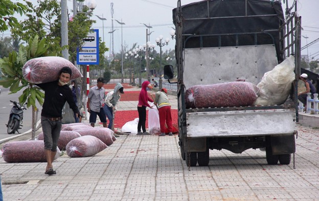 Due to the large volume of chilies, residents have to use trucks to transport chilies. Photo: Tran Mai / Tuoi Tre