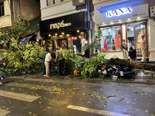 A fallen tree crushes many motorbikes amid heavy rain and strong winds in Hanoi on April 20, 2024. Photo: Gia Khanh / Tuoi Tre
