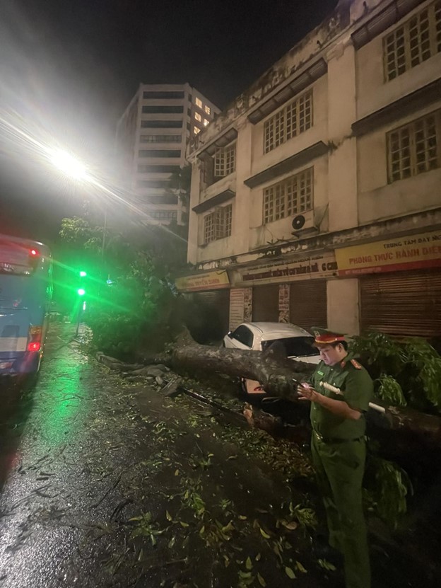 An uprooted dracontomelon tree crushes an Audi car on Quan Su Street in Hanoi. Photo: Quang Vien / Tuoi Tre