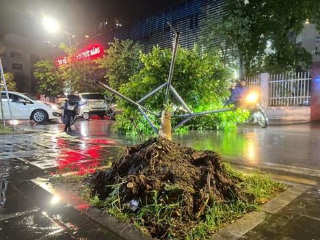 Heavy rain, gale-force winds uproot trees, hail falls in Hanoi