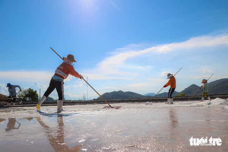 Salt workers rake salt under the scorching sun in Ninh Hai District, Ninh Thuan Province, south-central Vietnam, April 2024. Photo: Duy Ngoc / Tuoi Tre