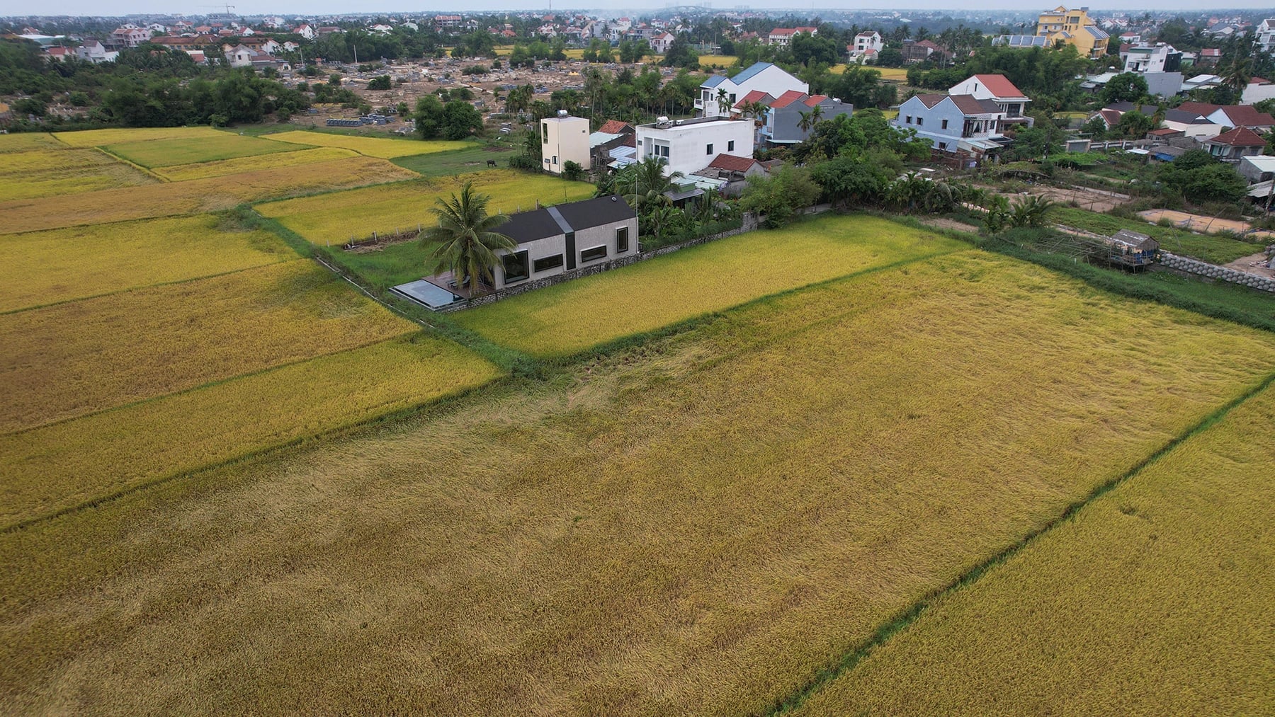Peaceful countryside in Hoi An City, central Vietnam. Photo: Pham Van Son