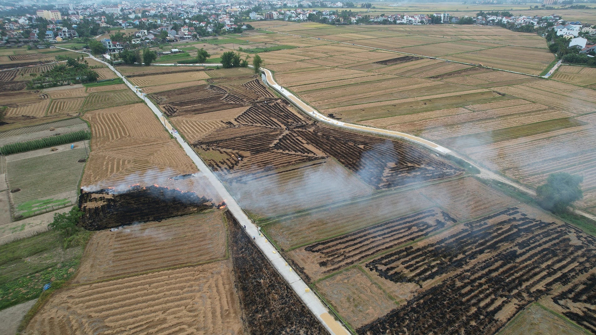 Farmers burn rice straw on harvested fields, a method to destroy disease germs and weeds as well as to use ash as fertilizer for the soil, in Hoi An City, central Vietnam. Photo: Pham Van Son
